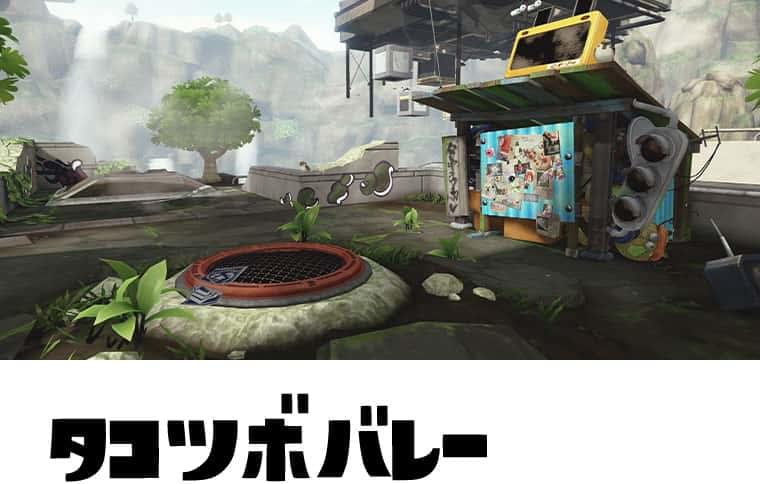 タコツボバレー