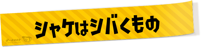 シャケはシバくもの