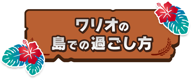 ワリオの島での過ごし方