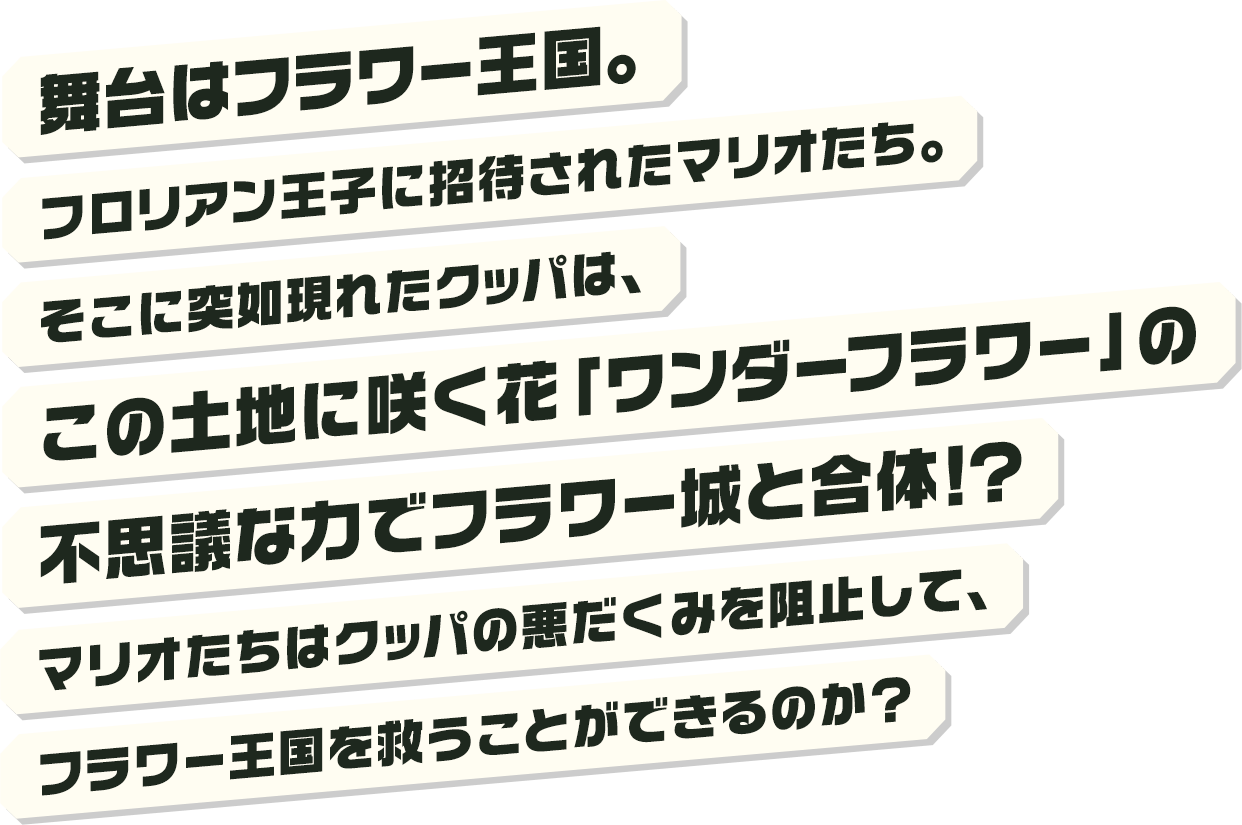 舞台はフラワー王国。フロリアン王子に招待されたマリオたち。そこに突如現れたクッパは、この土地に咲く花「ワンダーフラワー」の不思議な力でフラワー城と合体！？マリオたちはクッパの悪だくみを阻止して、フラワー王国を救うことができるのか？                    