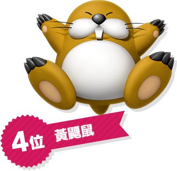 4位 黃鼴鼠