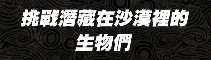 挑戰潛藏在沙漠裡的生物們