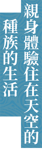 大空に生きる種族の暮らしを体感