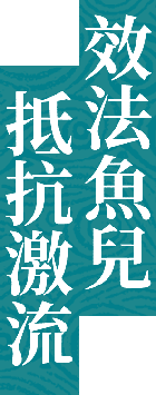 效法魚兒抵抗激流