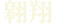 翔ける