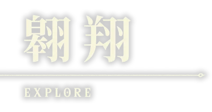 翔ける