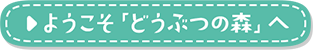 ようこそ「どうぶつの森」へ