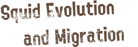 Squid migrates onto land and evolve