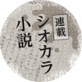 連載シオカラ小説