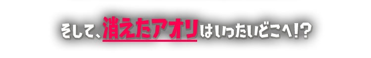 そして、消えたアオリはいったいどこへ！？