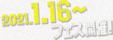 フェス開催！
