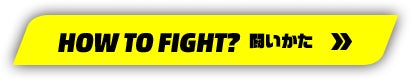HOW TO FIGHT? 闘いかた>>