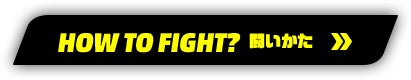 HOW TO FIGHT? 闘いかた>>