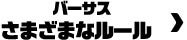バーサス さまざまなルール＞