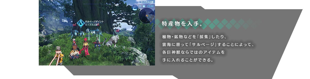 特産物を入手。 植物・鉱物などを「採集」したり、雲海に潜って「サルベージ」することによって、各巨神獣ならではのアイテムを手に入れることができる。