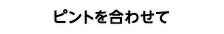 ピントを合わせて
