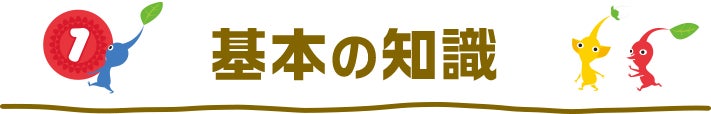 基本の知識