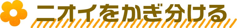 ニオイをかぎ分ける