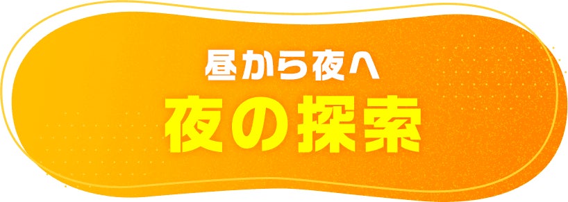 昼から夜へ 夜の探索