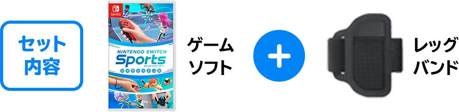 セット内容 ゲームソフト レッグバンド