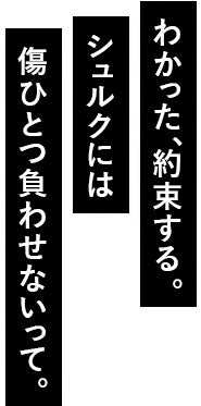 わかった、約束する。シュルクには傷ひとつ負わせないって。