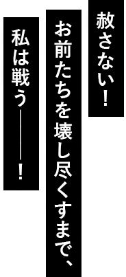 赦さない！お前たちを壊し尽くすまで、私は戦う―――！