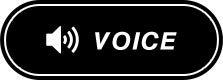 VOICE