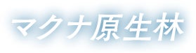 マクナ原生林