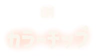 01 カラーチップ