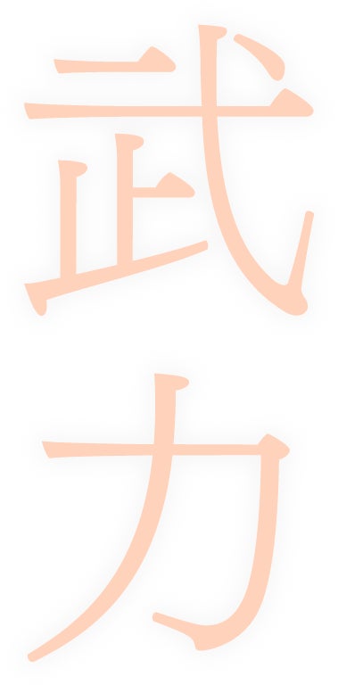 武力