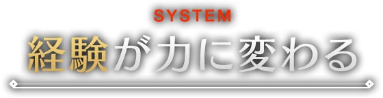 SYSTEM 経験が力に変わる