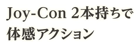 Joy-Con 2本持ちで体感アクション