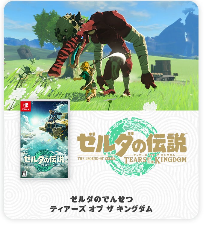 ゼルダのでんせつ ティアーズ オブ ザ キングダム