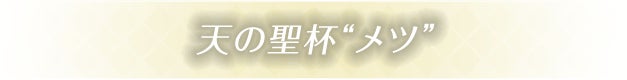 天の聖杯“メツ”