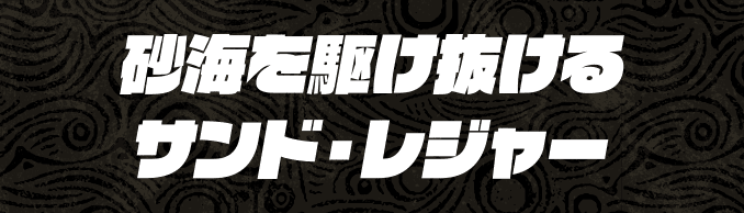砂漠を駆け抜けるサンド・レジャー