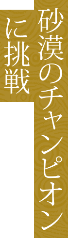 砂漠のチャンピオンに挑戦