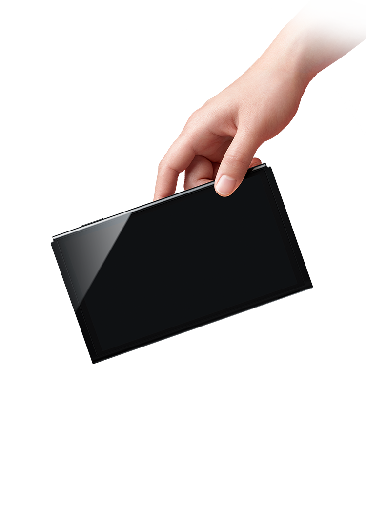 Nintendo Switch Display