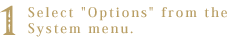 1. Select "Options" from the System menu.