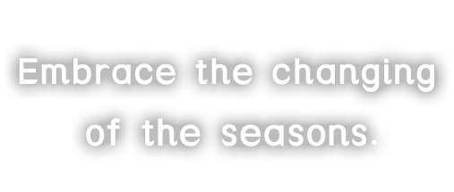 Embrace the changing of the seasons.