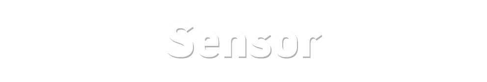 Sensor