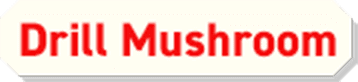 Drill Mushroom
