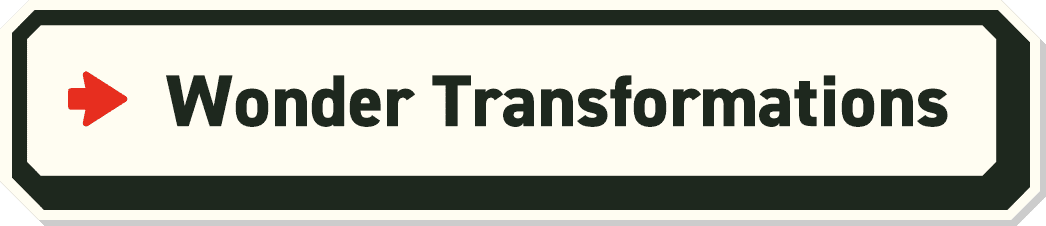 Wonder Transformations
