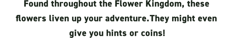Found throughout the Flower Kingdom, these flowers liven up your adventure. They might even give you hints or coins!