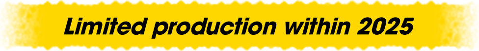 Limited production within 2025