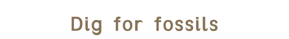 Dig for fossils