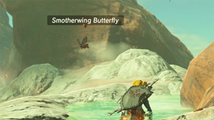 Phantom Smotherwing Butterfly