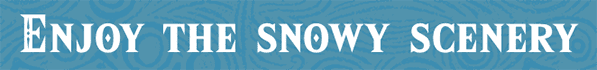 Enjoy the snowy scenery