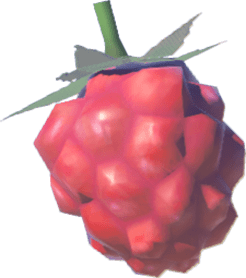 Wildberries