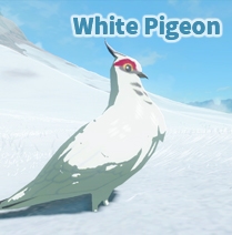 White Pigeon