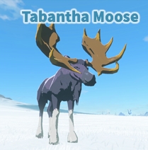 Tabantha Moose